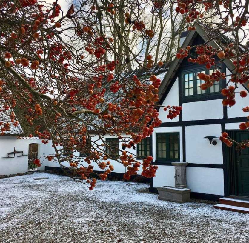 BLIV YNGRE MED ALDEREN – Kildegaard Bettinna-Delfs